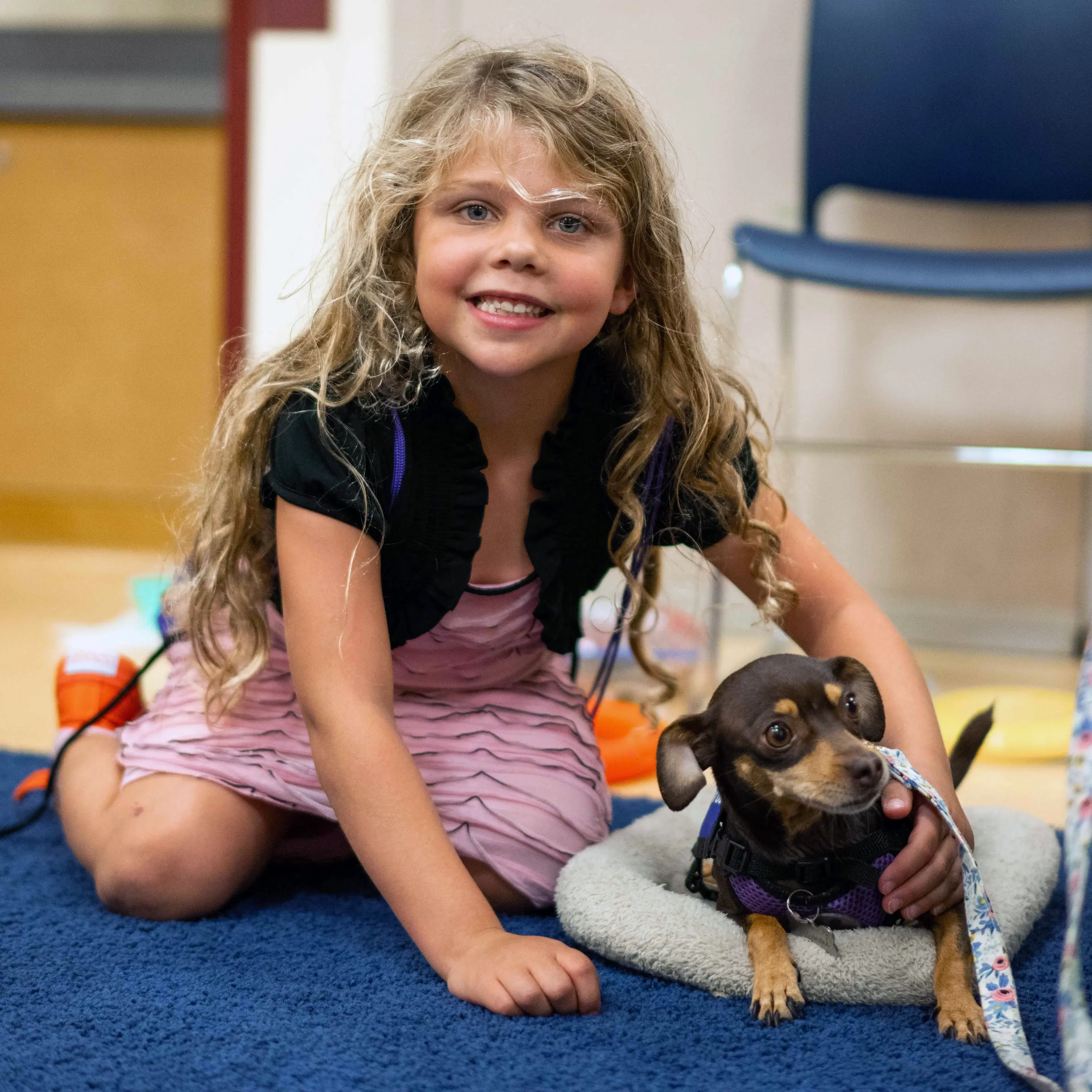 small girl smiling at camera while petting a small dachshund-like dog.